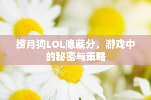 捞月狗LOL隐藏分图片