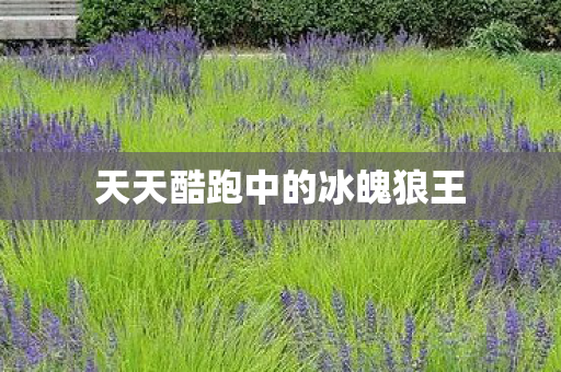 天天酷跑中的冰魄狼王图片