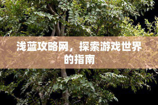 探索游戏世界的指南图片