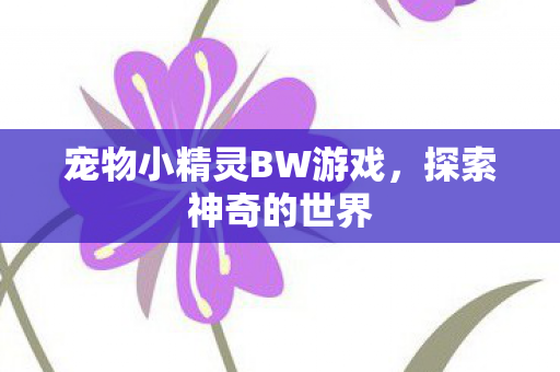 宠物小精灵BW游戏图片