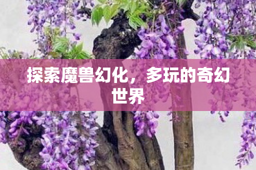 多玩的奇幻世界图片