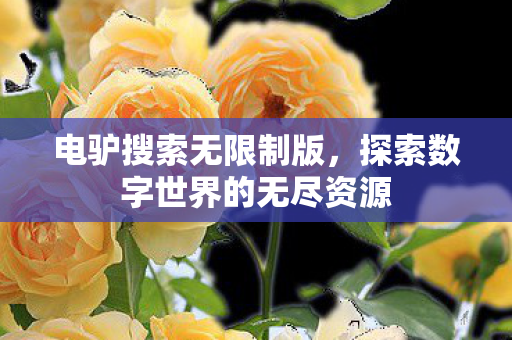 探索数字世界的无尽资源图片