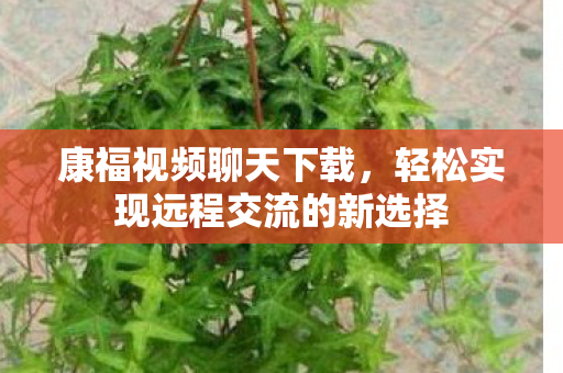 轻松实现远程交流的新选择图片