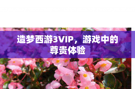 造梦西游3VIP图片