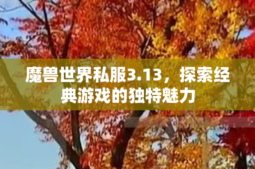 探索经典游戏的独特魅力图片