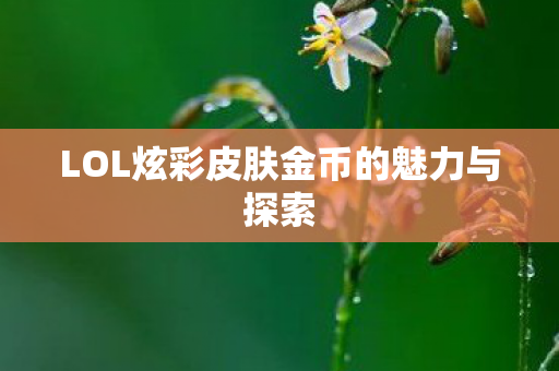 LOL炫彩皮肤金币的魅力与探索图片