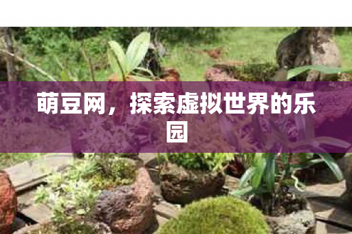 探索虚拟世界的乐园图片