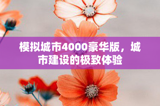 模拟城市4000豪华版图片
