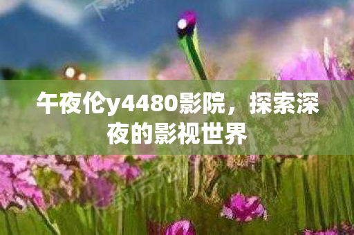 午夜伦y4480影院图片
