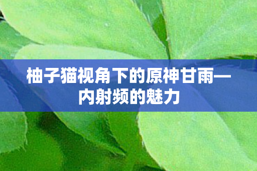 柚子猫视角下的原神甘雨图片