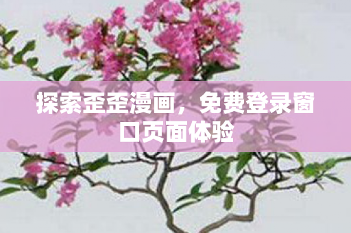 免费登录窗口页面体验图片