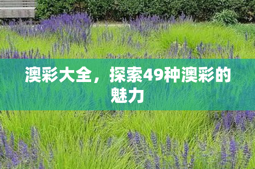探索49种澳彩的魅力图片