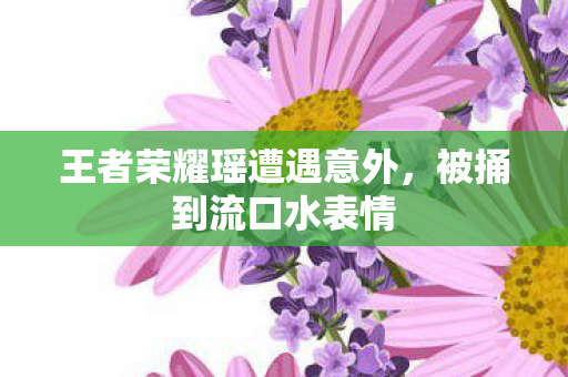 王者荣耀瑶遭遇意外图片