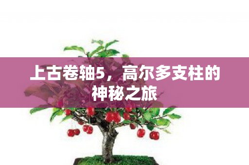 高尔多支柱的神秘之旅图片