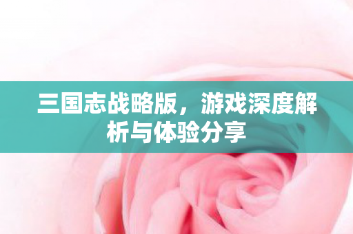 游戏深度解析与体验分享图片