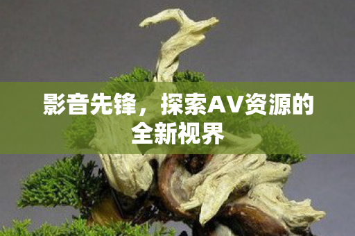 探索AV资源的全新视界图片