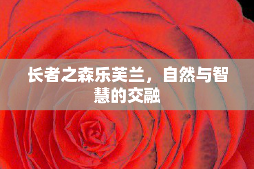 自然与智慧的交融图片