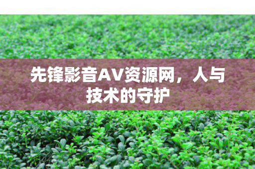 先锋影音AV资源网图片