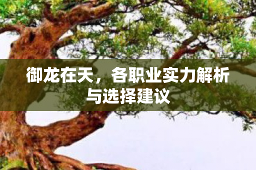 各职业实力解析与选择建议图片