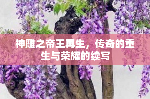 传奇的重生与荣耀的续写图片