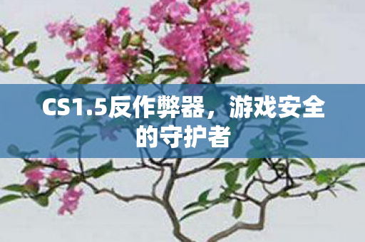 游戏安全的守护者图片