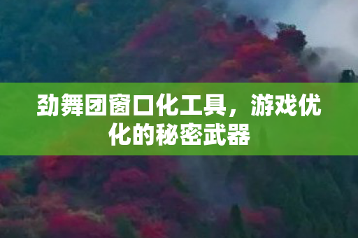 游戏优化的秘密武器图片