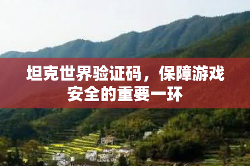 保障游戏安全的重要一环图片