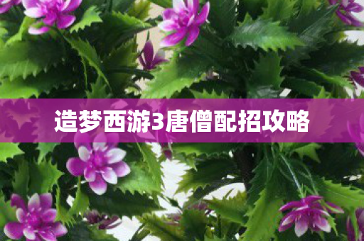 造梦西游3唐僧配招攻略图片