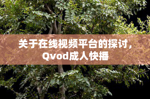 关于在线视频平台的探讨图片