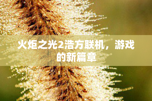 火炬之光2浩方联机图片