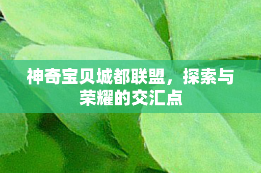 探索与荣耀的交汇点图片