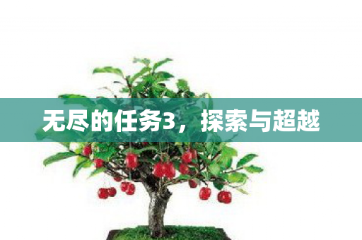 无尽的任务3图片