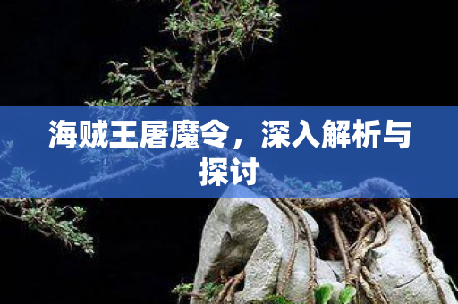深入解析与探讨图片