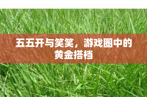 游戏圈中的黄金搭档图片