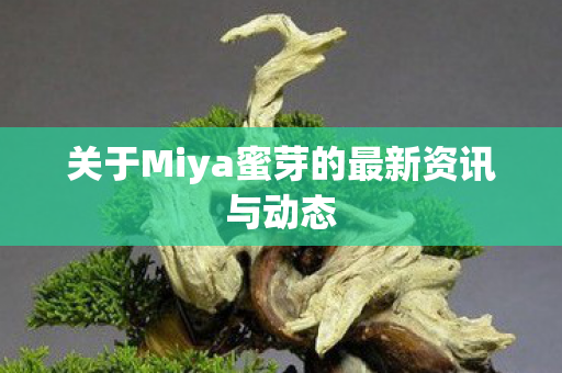 关于Miya蜜芽的最新资讯与动态图片