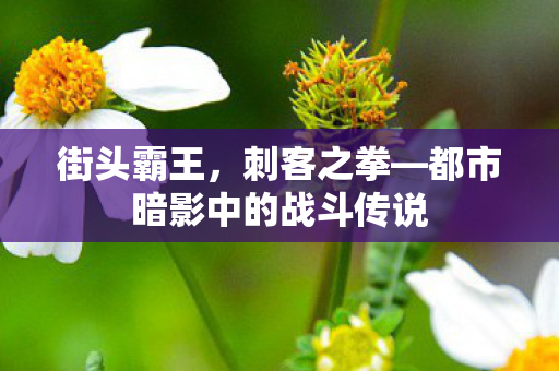 都市暗影中的战斗传说图片