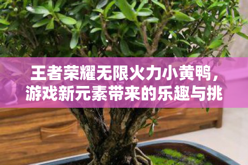 游戏新元素带来的乐趣与挑战图片