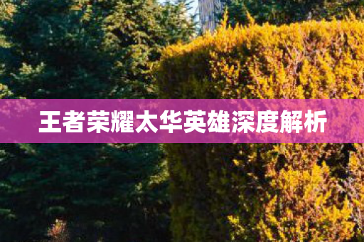 王者荣耀太华英雄深度解析图片