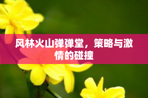 策略与激情的碰撞图片