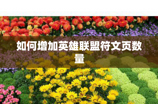 如何增加英雄联盟符文页数量图片