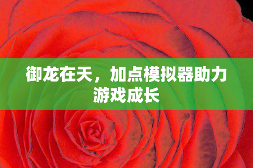 加点模拟器助力游戏成长图片