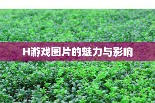 H游戏图片的魅力与影响图片