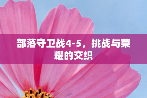 挑战与荣耀的交织图片