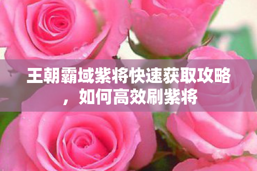 王朝霸域紫将快速获取攻略图片