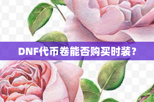 DNF代币卷能否购买时装图片