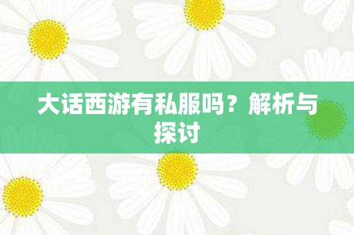 大话西游有私服吗图片