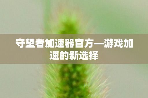守望者加速器官方图片