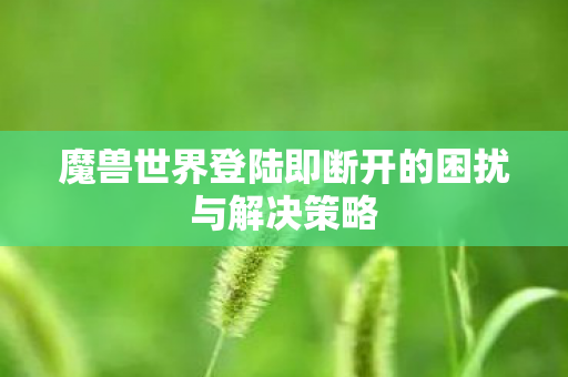 魔兽世界登陆即断开的困扰与解决策略图片