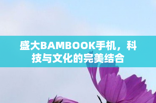 盛大BAMBOOK手机图片