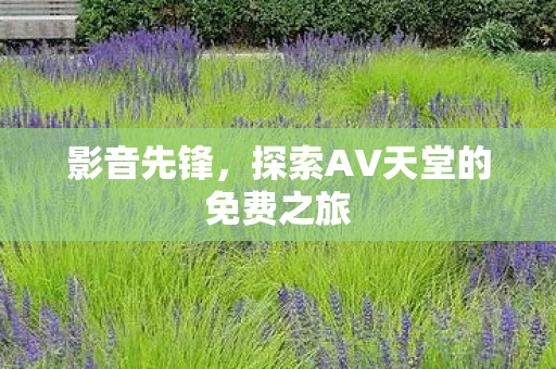 探索AV天堂的免费之旅图片